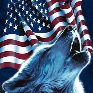 Meet your Posher, Billy